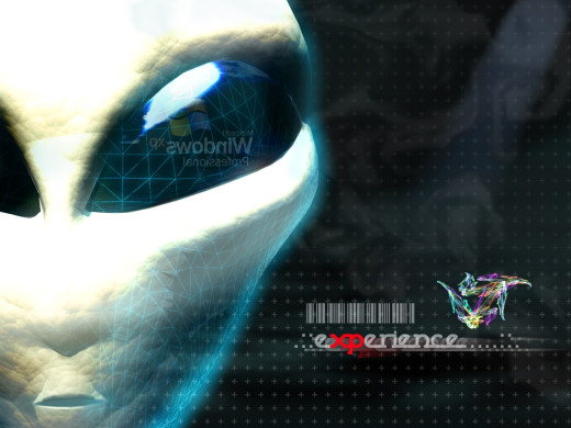 385317 (a): :1024x768